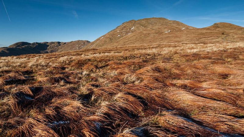 Ben Lomond