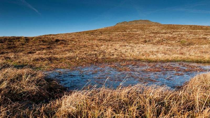 Ben Lomond